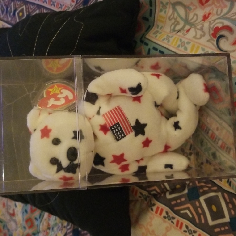 Collectors Beenie baby in plastic case the American flag